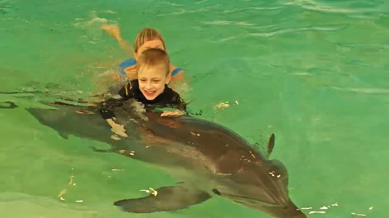 Лазаревское Дельфинарий Морская звезда 2025