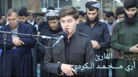 ما تيسر من سورة الشعراء - القـارئ أري محمد الــكردي