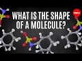 What is the shape of a molecule? - George Zaidan and Charles Morton