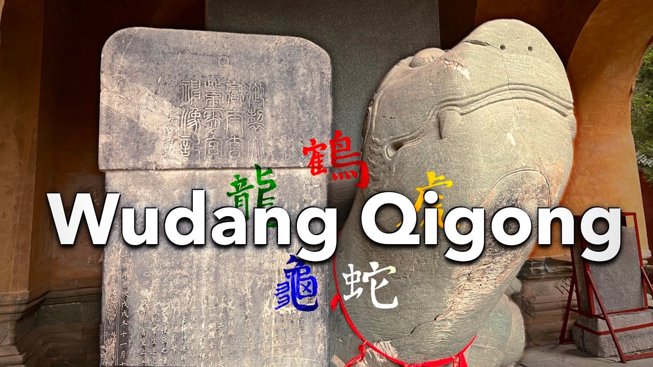 WUDANG QIGONG | CINCO ELEMENTOS [ Cinco Animales ] Serie COMPLETA estilo Xuanwupai / 武当玄武派五行养生功全套路