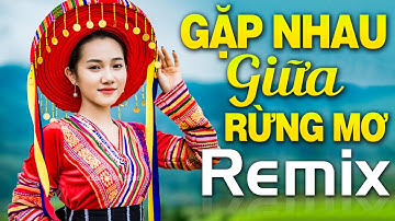 GẶP NGAU GIỮA RỪNG MƠ, TIẾNG ĐÀN TA LƯ REMIX - Đây Mới Là Nhạc Đỏ Cách Mạng 2021 Dj Remix Sôi Động