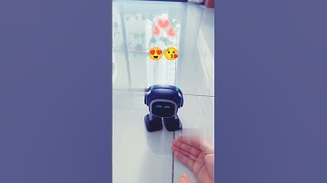 emo robot is obedient #emo #emopet #emorobot #airobot #petbot #petrobot