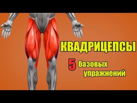 МЫШЦЫ НОГ. КВАДРИЦЕПСЫ. 5 БАЗОВЫХ УПРАЖНЕНИЙ