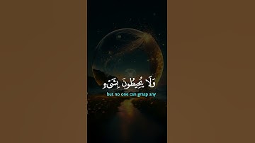 آية الكرسي #قرآن_كريم #سورة_البقرة #اكسبلور