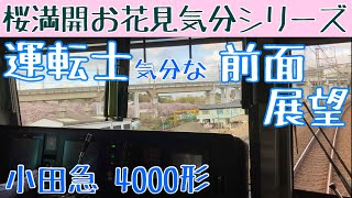 【桜満開シリーズ】快速急行 運転士気分になれる 前面展望動画【小田急 4000形】