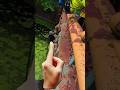 Baffling discovery out of place #treasurehunt #magnetfishing #magnetfishingfinds