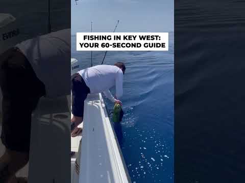 Video: Vissen in Key West, Florida: de complete gids