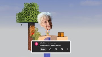 Playing Skyblock Again After 8 Months