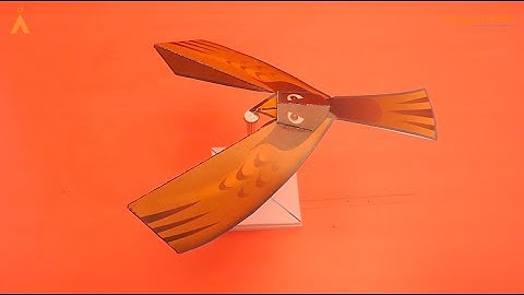 Balancing Bird I Physics Experiment I Make Your Own Lab Series