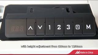 Smart Height Adjustable Electric Standing Desk | Full Features Display