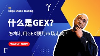 🚧如何利用GEX预判市场方向 ?|什么是GEX?| 利用GEX日交易| 怎样使用Tradytics的GEX | Tradytics教学
