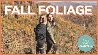 East Coast Fall Foliage Road Trip  North Carolina, DC, Virginia, West Virginia