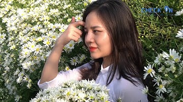 Vườn hoa Phương Linh - Điểm Checkin lý tưởng mùa cúc hoạ mi