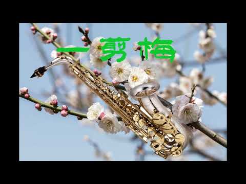 一剪梅 -- 萨克斯 Saxophone