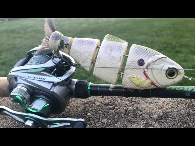 Bank Fishing for Big Bass with the Bull Shad / Fall Fishing 