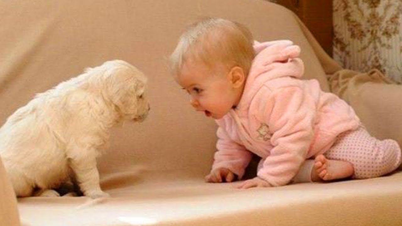 Super Funny Baby and Puppy videos compilation 😂😂😂 YouTube