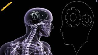 techno industrial 90s- electronic brain