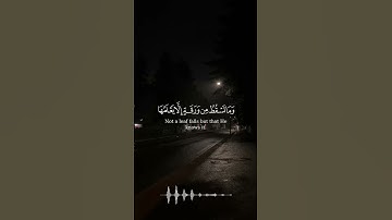 وَمَا تَسۡقُطُ مِن وَرَقَةٍ إِلَّا یَعۡلَمُهَا | محمد صديق المنشاوي | سورة الأنعام