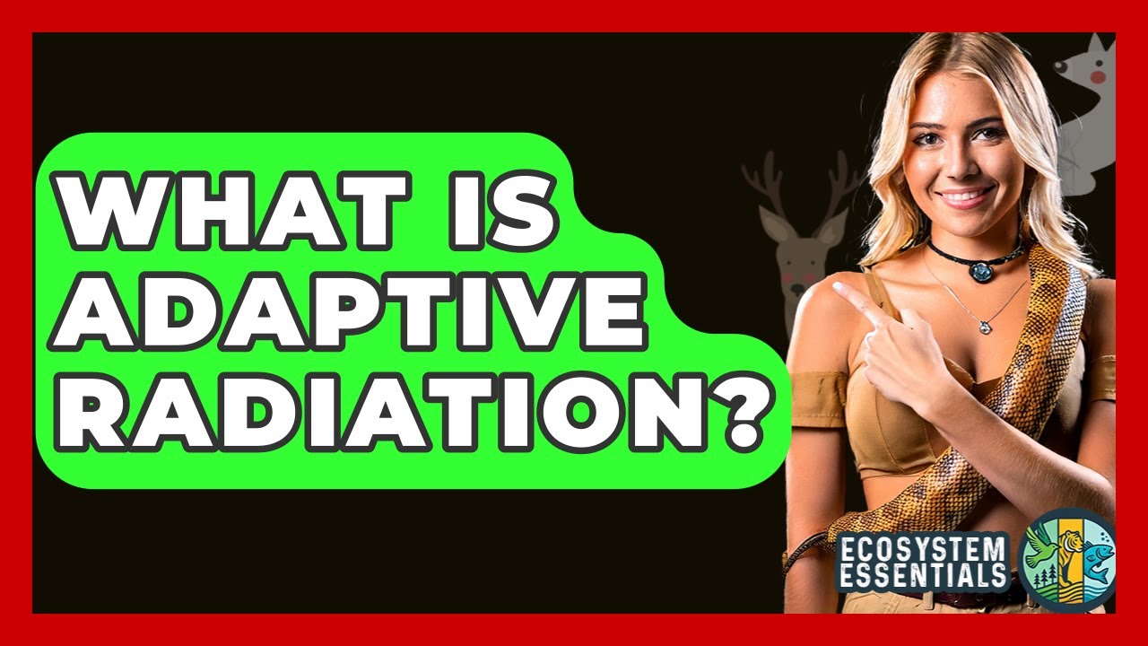 What Is Adaptive Radiation? - Ecosystem Essentials