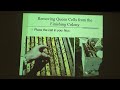 Queen Rearing Rodney 05162026 part4