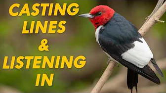 Eavesdropping on Birds and Catching Fish | Great Lakes Now | Full Episode
