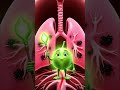 healthy hone ke rajj | benefits of fruit #funny #health #viral #education #bwu80.like and subscribe