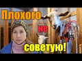 Выбираете чем доить коз?//Подскажу чем лучше