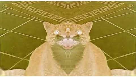 The Shortest Video on YouTube Effects ConFuSion