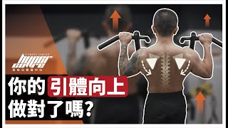 你的引體向上做對了嗎? 四招解決常見問題｜背肌、練背、背部訓練、闊背肌、拉單槓 ft. Cooper 教練