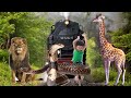 Wild animals rescued a little boy who got lost in the forest. Funny video.Cartoon.#vfxicecream#