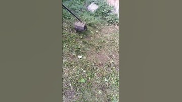 lawn mower asmr / cutting down grass using a string trimmer / weed whacker / trimming grass