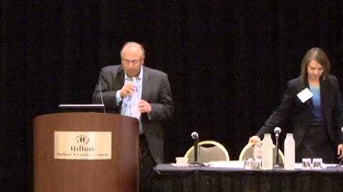 Theories and Advocacy Strategies in False Confession Cases