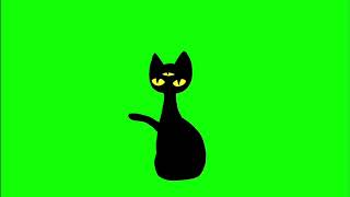 ✔️GREEN SCREEN EFFECTS: black cat animation