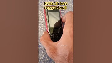 Yang pernah beli hp ini udah punya anak berapa?