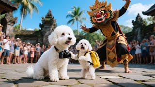 Download Lagu Baby Puppy Found a Secret in Indonesia 🐶🗝️ Mom Dog created a Surprise! 😮🇮🇩 MP3 Download Lagu Baby Puppy Found a Secret in Indonesia 🐶🗝️ Mom Dog created a Surprise! 😮🇮🇩 MP3