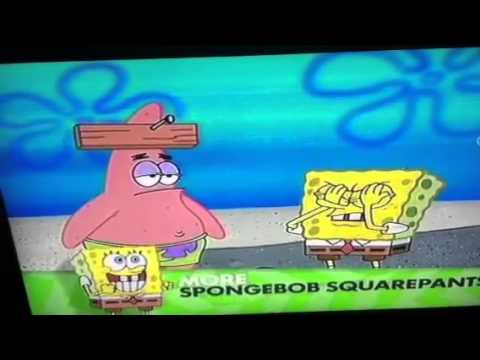 Spongebob Squarepants Get Out Of Here Stupid Animal Funny Moment Youtube