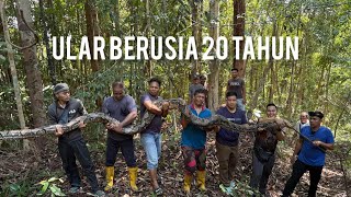 14 ORANG TANGKAP ULAR TERBESAR BERUSIA 20 TAHUN