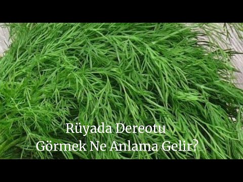 Rüyada Dereotu Görmek Ne Anlama Gelir, Rüyada Dere Otu Görme