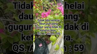 Download Lagu Allah tau prosesmu, Allah tau niat baikmu. Tenanglah Allah pasti bantu urusanmu💙 #viralshort MP3 Download Lagu Allah tau prosesmu, Allah tau niat baikmu. Tenanglah Allah pasti bantu urusanmu💙 #viralshort MP3