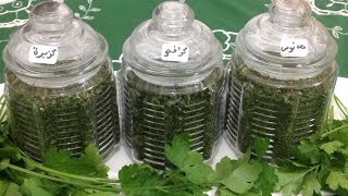 طريقة تجفيف القزبرة ، بقدونس و كرافس و حفظ الخضرة أطول مدة ممكنة Dry Parsley, Coriander and Celery