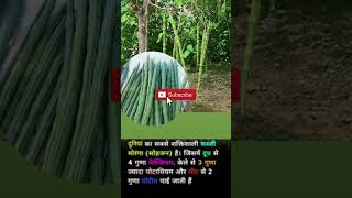 world's powerful vegitable (दुनिया की सबसे ज्यादा ताकतवर सब्जी)#knowledge#gk#facts#shortyt#ytshort