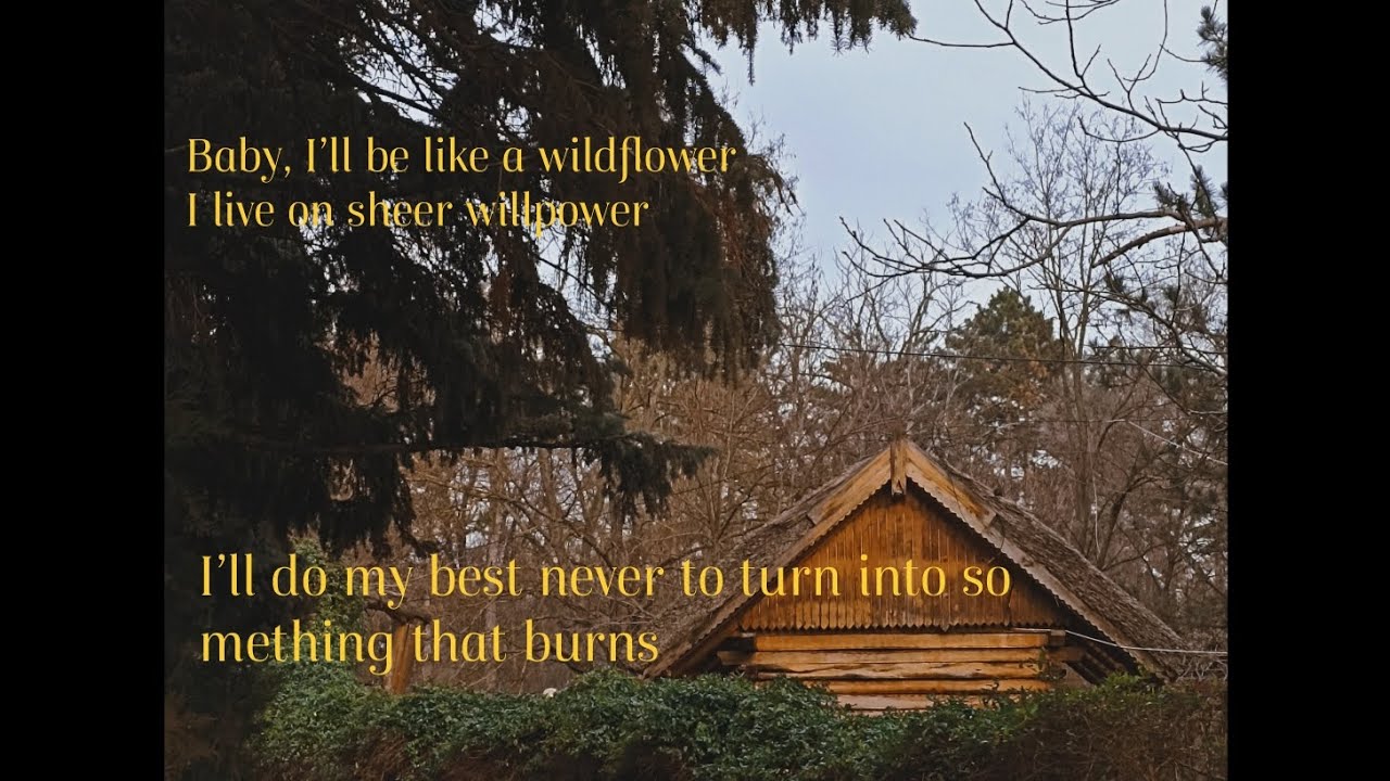 Wildflower Wildfire by Lana Del Rey ( cover) YouTube