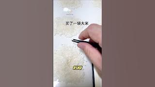 COWOK Ini HITUNG Beras SATU-SATU Buat Apa? ❗ 😱 #videoviral #lucu #pelit #beras #kocak