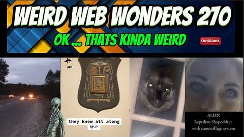 weird web wonders 270