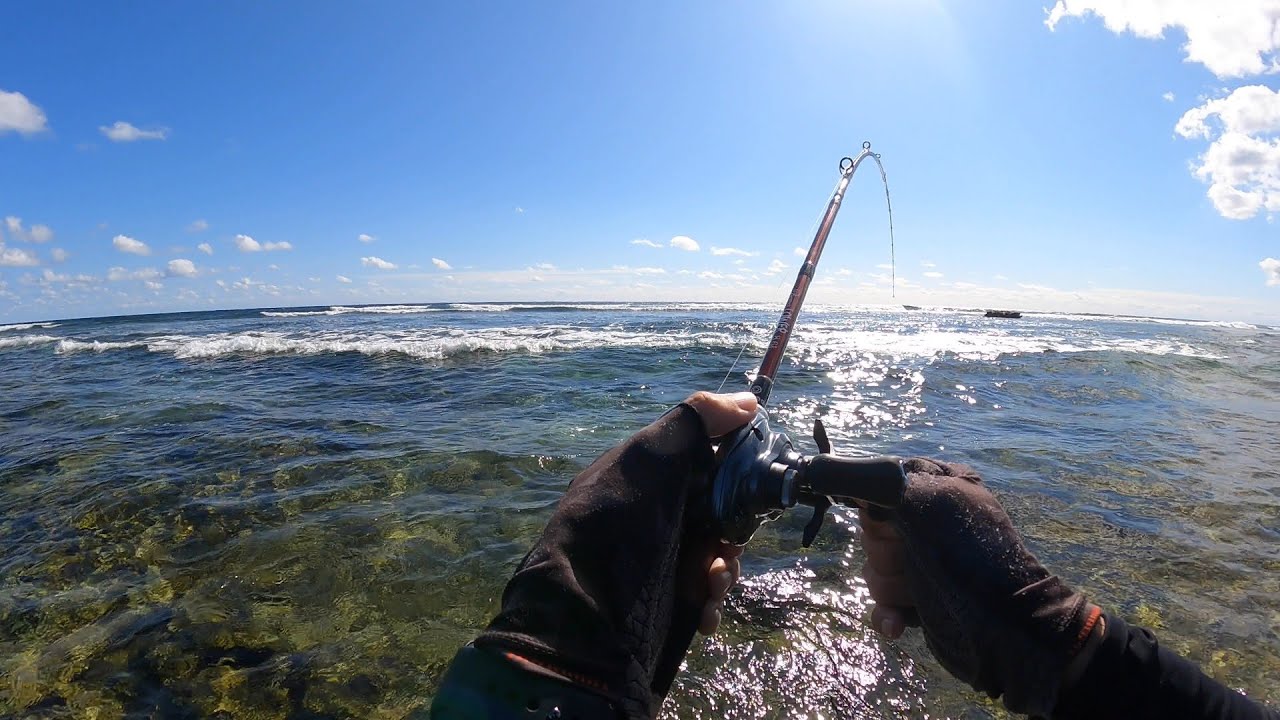 良型連発メッキパーティー＆小チヌ様【沖縄ルアーフィッシング】