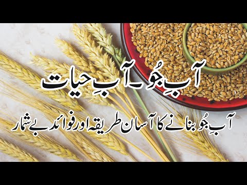 Benefits Of Barley | جو کے فوائد