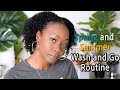 Spring and Summer Wash and Go Routine using Black Owned Products| SimplyDivineCurls | #BLM