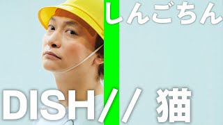 猫/DISH// 歌ってみた！しんごちん【香取慎吾】