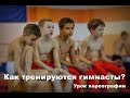 Как тренируются гимнасты? Урок хореографии.