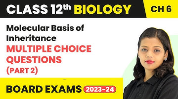 Molecular Basis of Inheritance - Multiple Choice Questions (Part 2) | Class 12 Biology Chapter 5